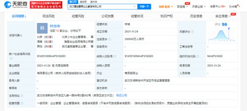 小米斥資20億在武漢成立企業管理公司，雷軍疑似實控人